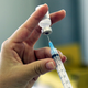 Image for article titled The World’s First Dengue Fever Vaccine Is Coming to Three Countries